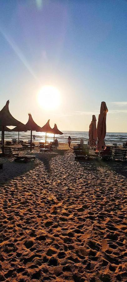 Solid * Mamaia
